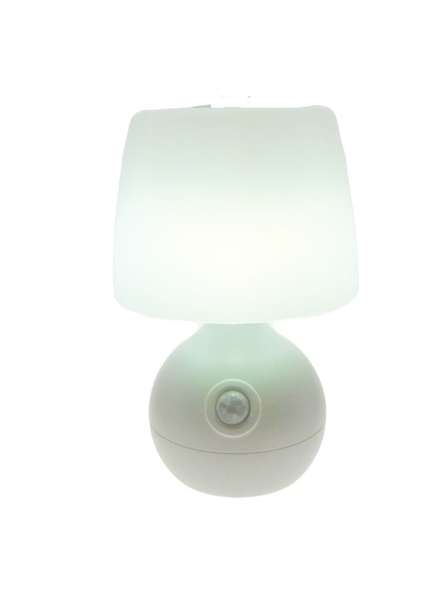 Motion Sensor Lamp