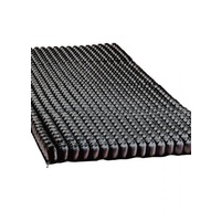 Roho Dry Flotation Section only (no cover)