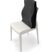 Total Spinal Support - Full Size Back Support