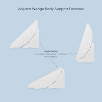 Adjusta Wedge Body Support