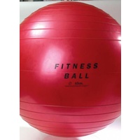 Fit Ball 55cm