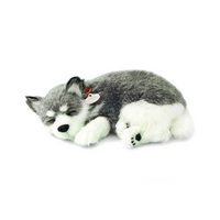 Alaskan Husky Bundle