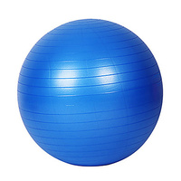 Fit Ball