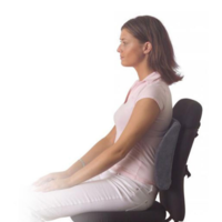 BackForm - Lower Back Lumbar Support