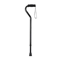 Walking Stick Offset Handle