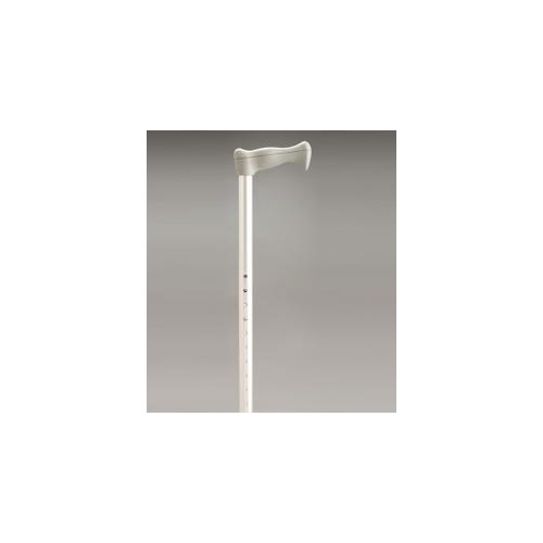 Coopers Walking Stick