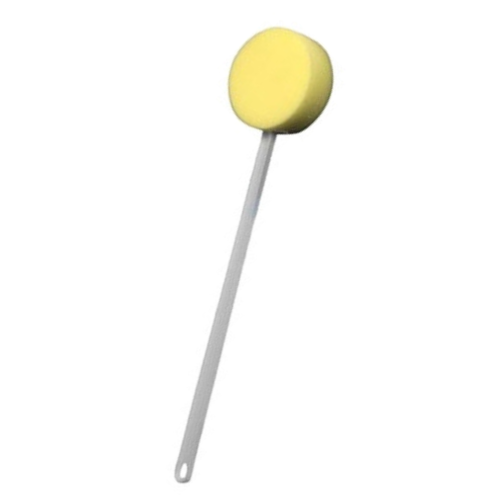 Long Handled Bath Sponge Economy