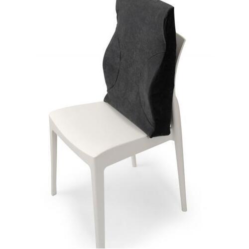 Total Spinal Support - Full Size Back Support