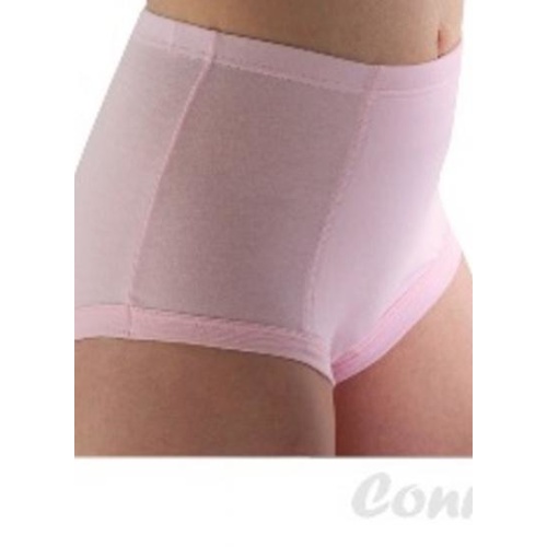 Classic Ladies brief